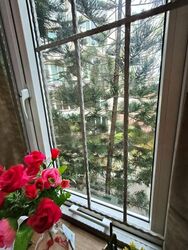 Edelweiss Park Condominium (D17), Condominium #482626111